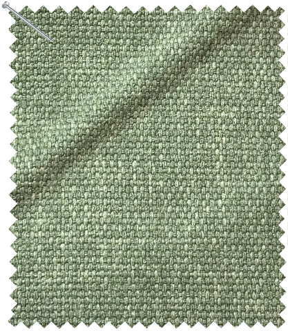 Fern