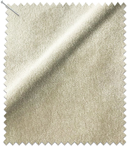 Fossil