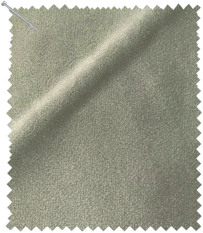 Turtle Dove